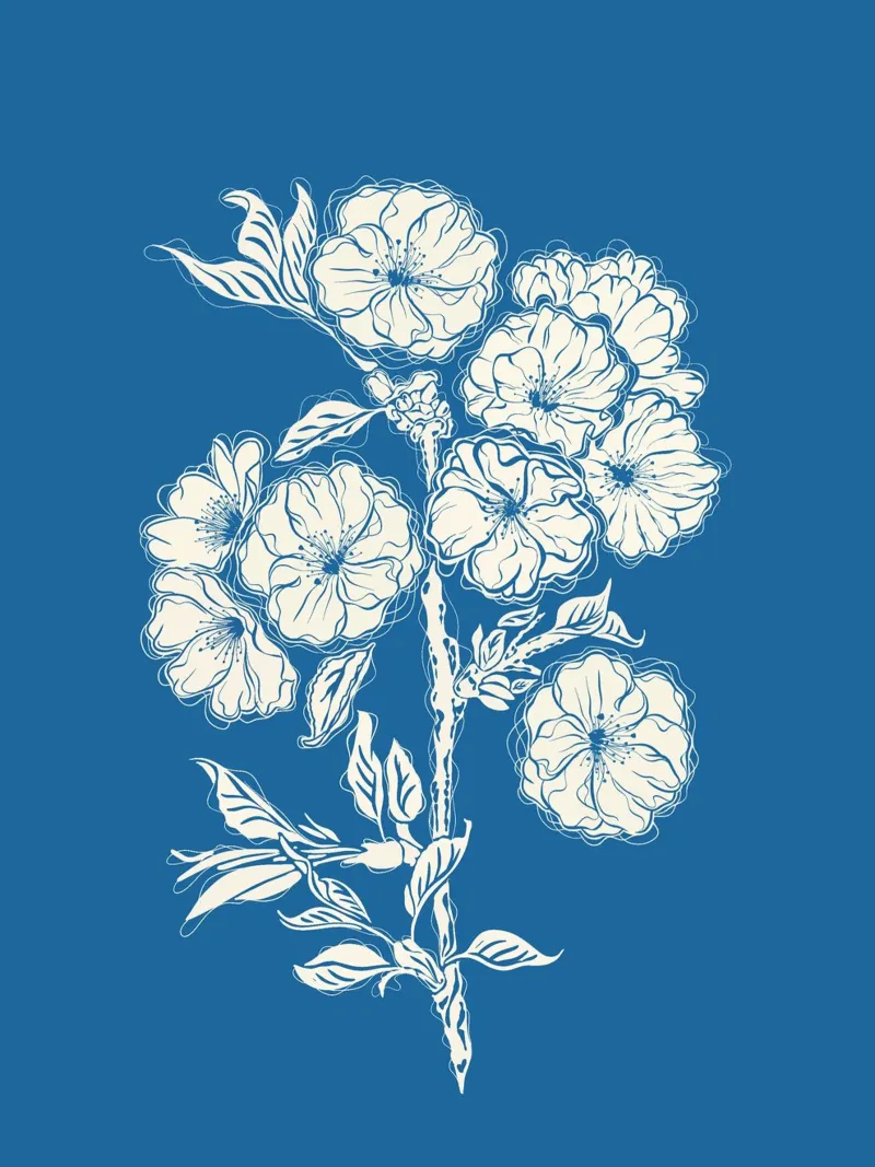 Fiori di ciliegio carta hahnemühle da Stella-Illustrations