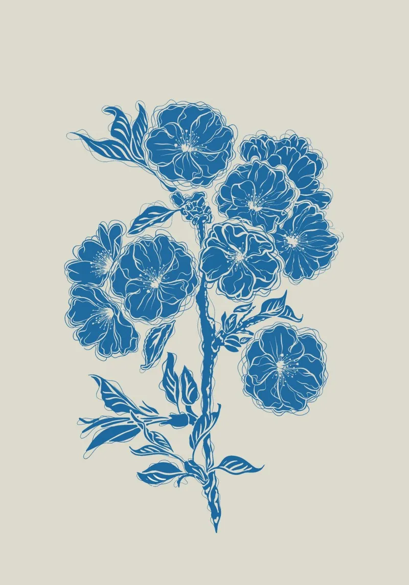 Fiori di ciliegio plexiglass da Stella-Illustrations