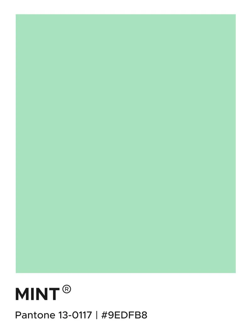 Menta Pantone pellicola backlit da Paigaam Studio