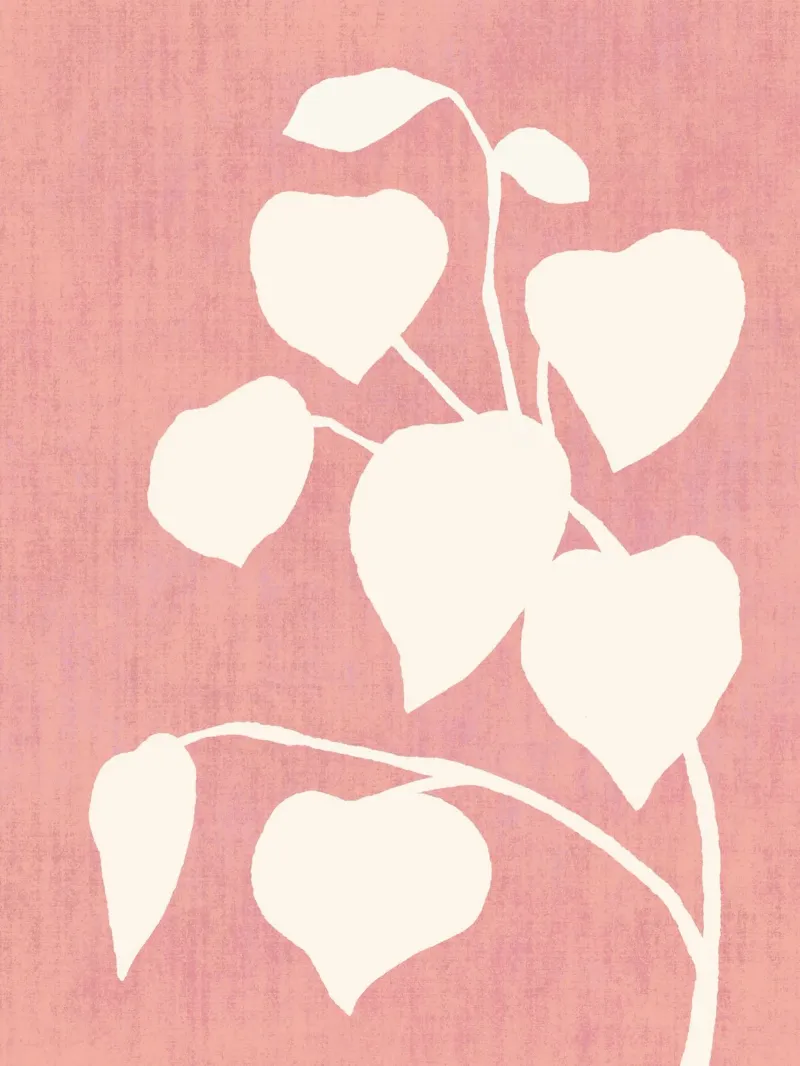 Foglia d'ombra botanica - Rosa poster con telaio in alluminio da MoonlightPrint