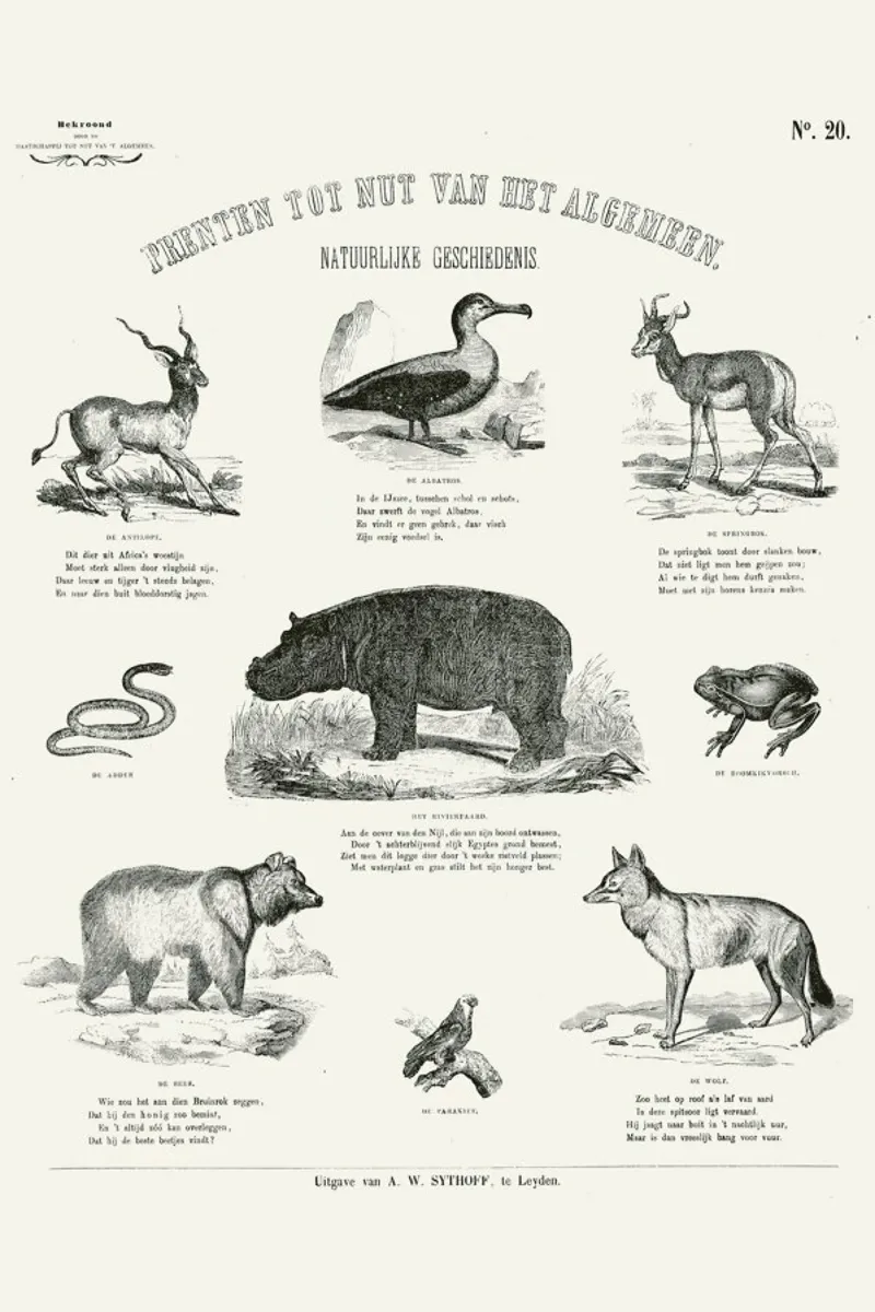 Animals Chart poster con telaio in plastica da Astër