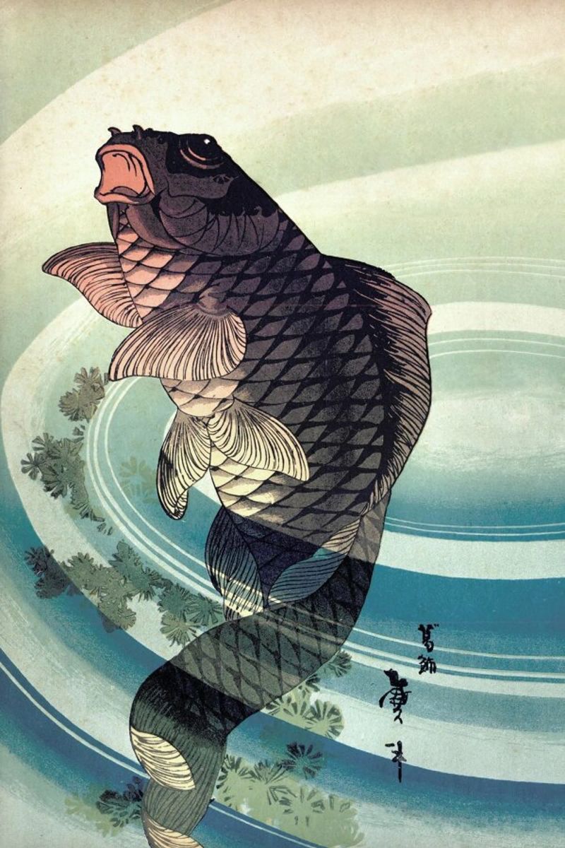 Japanese Koi poster de Flora & Fauna