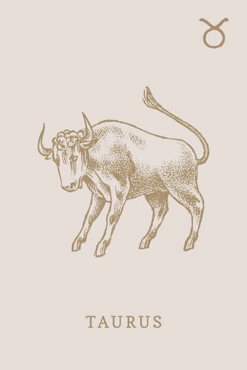 Taurus pellicola backlit da Flora & Fauna