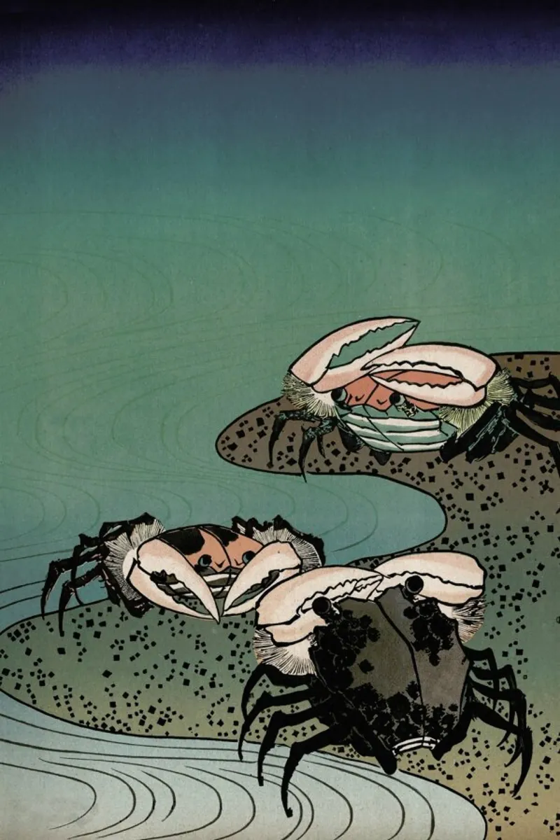 Saltwater Crabs alluminio dibond da Flora & Fauna