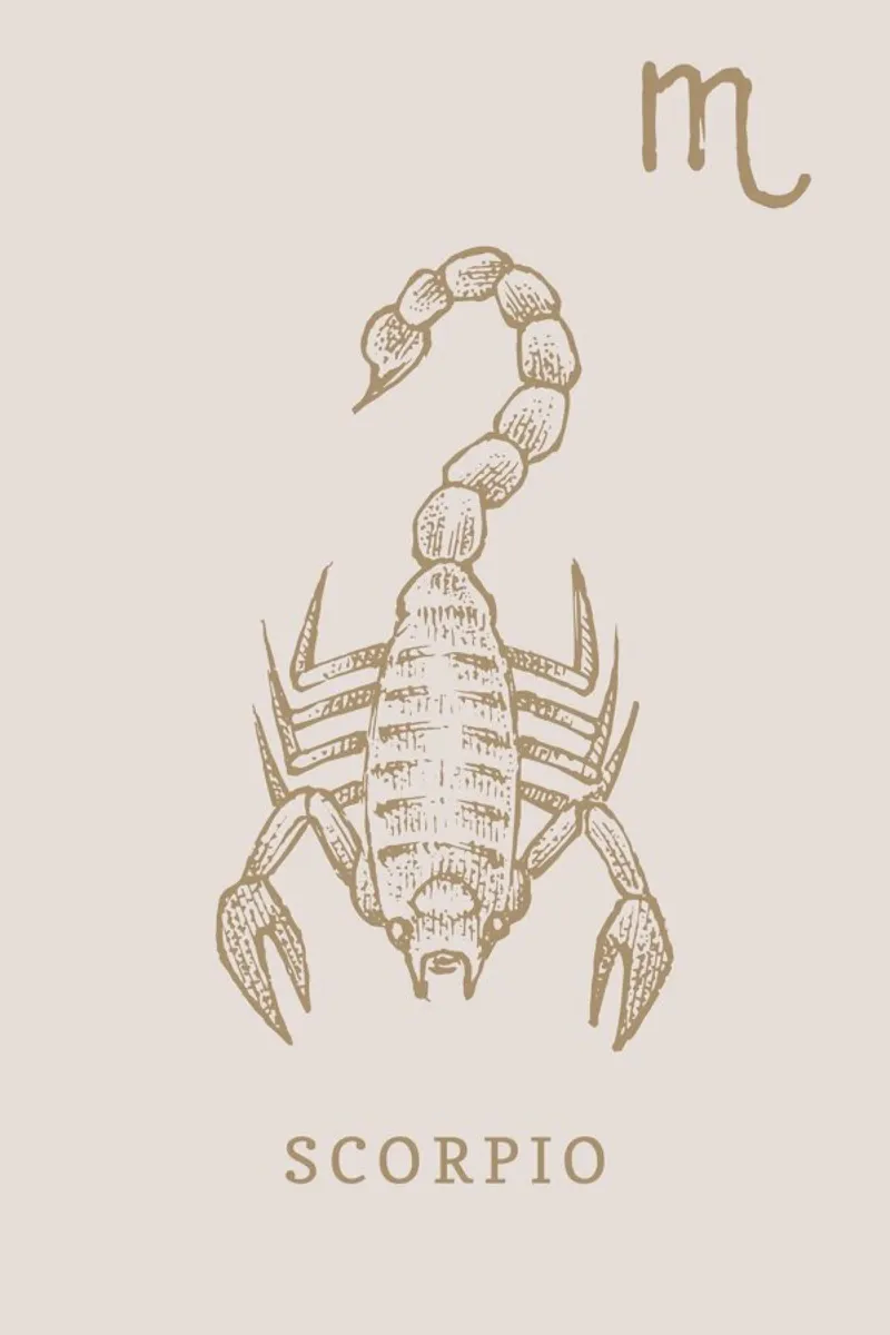 Scorpio pellicola backlit da Flora & Fauna