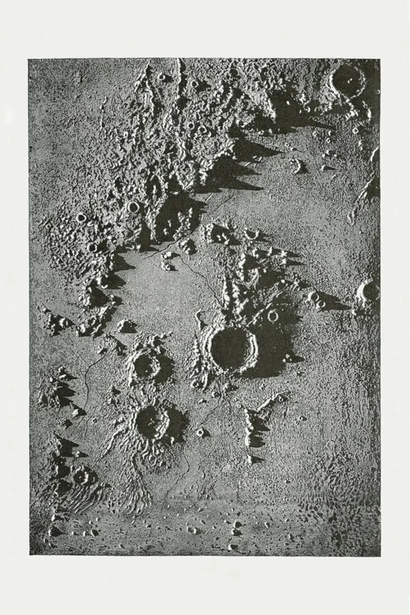 Moon Crater II pellicola backlit da Flora & Fauna