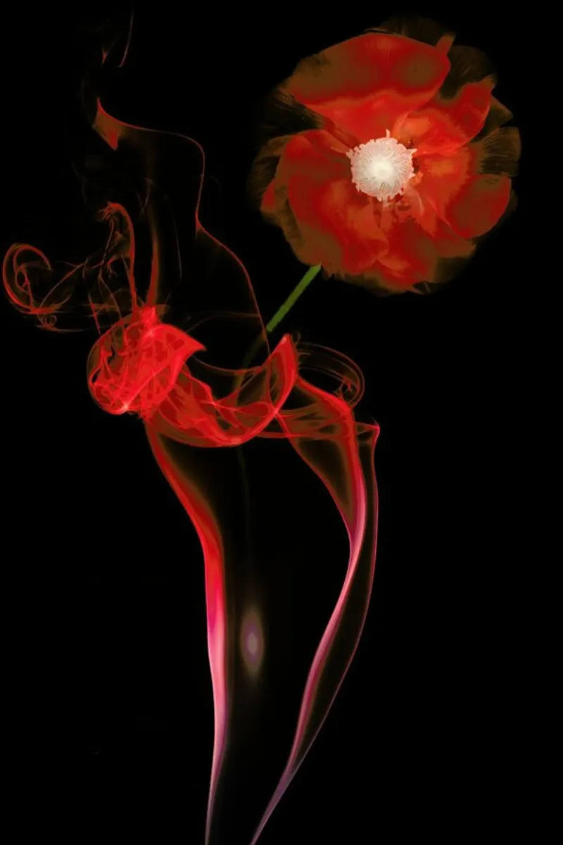 Red Buttercup - Azriel Yakubovitch poster with wooden frame by Pictufy