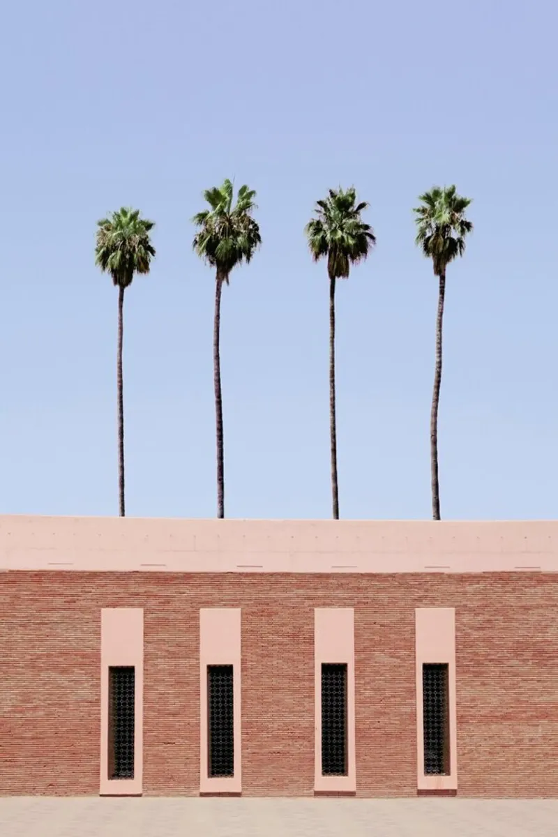 Palm Tree Factory poster da Rupert Höller