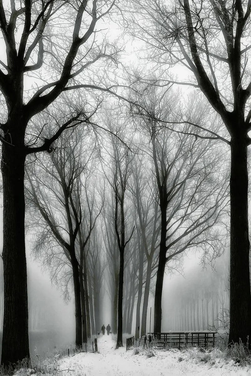 Then Winter Comes - Yvette Depaepe poster con telaio in plastica da Pictufy