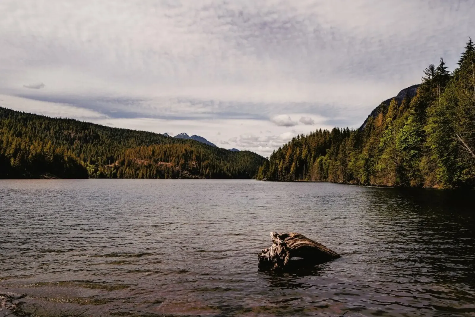 Canada 5 poster con telaio in legno da Philipp Reinhard
