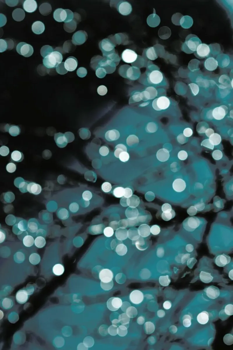 Midnight Sparkle pellicola backlit da Victoria Frost