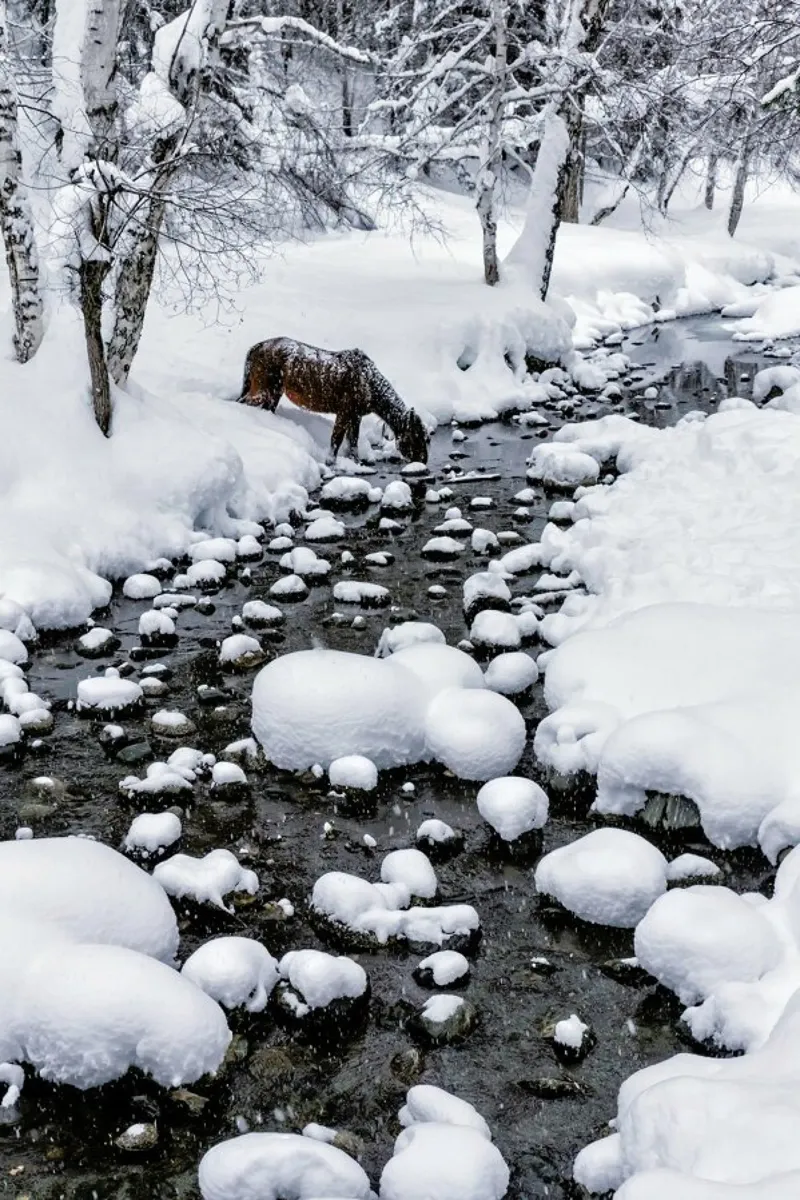 Drinking in Snow - Hua Zhu plexiglass da Pictufy