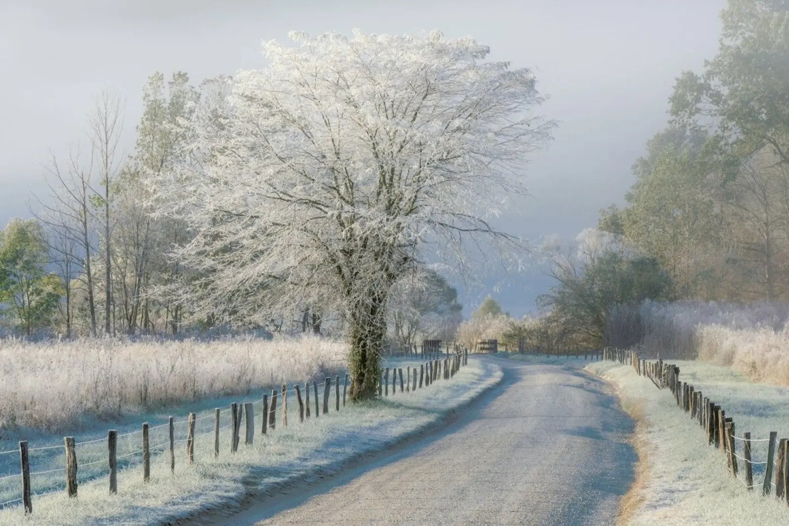 A Frosty Morning - Chris Moore poster con telaio in alluminio da Pictufy