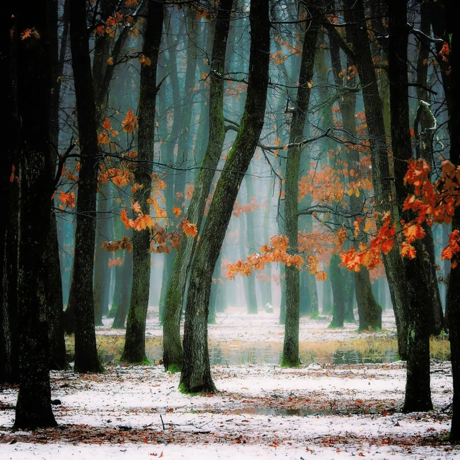 Autumn in my Soul - Alexandra Fira carta hahnemühle da Pictufy