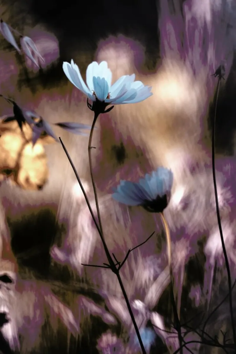 Lueur d'Automne - Fabien BRAVIN plexiglass da Pictufy
