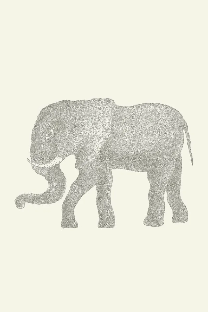 Elephant pellicola backlit da Flora & Fauna