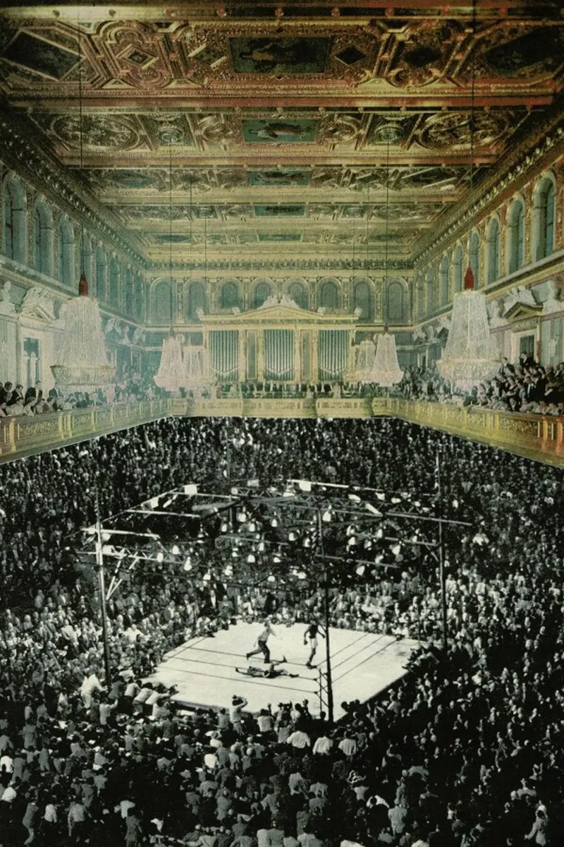 boxing in vienna Backlit Folie von Sammy Slabbinck