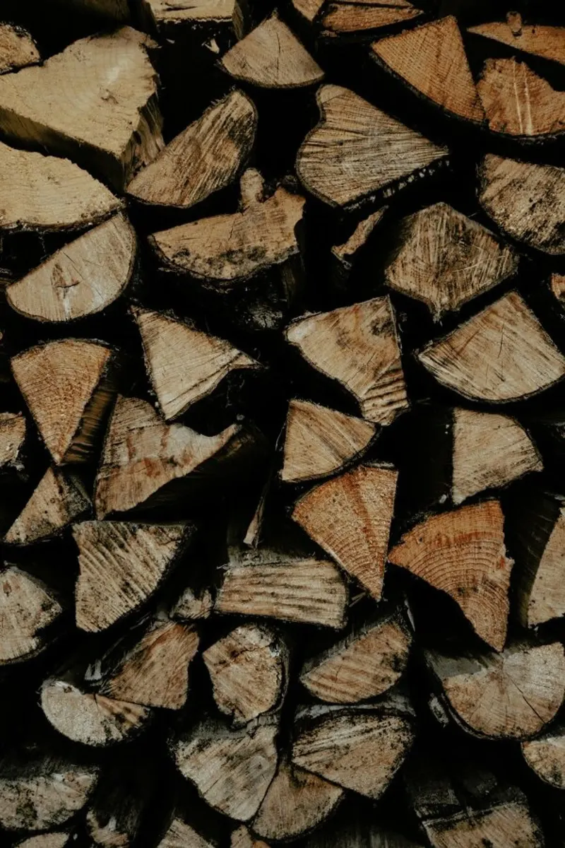 Woody Textures poster con telaio in alluminio da Sebastian Hilgetag