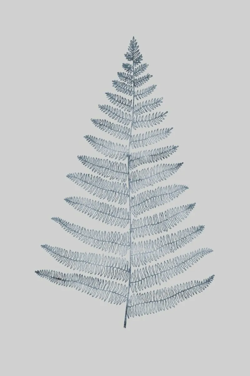 Botanica Minimalistica No.1 pellicola backlit da Kubistika