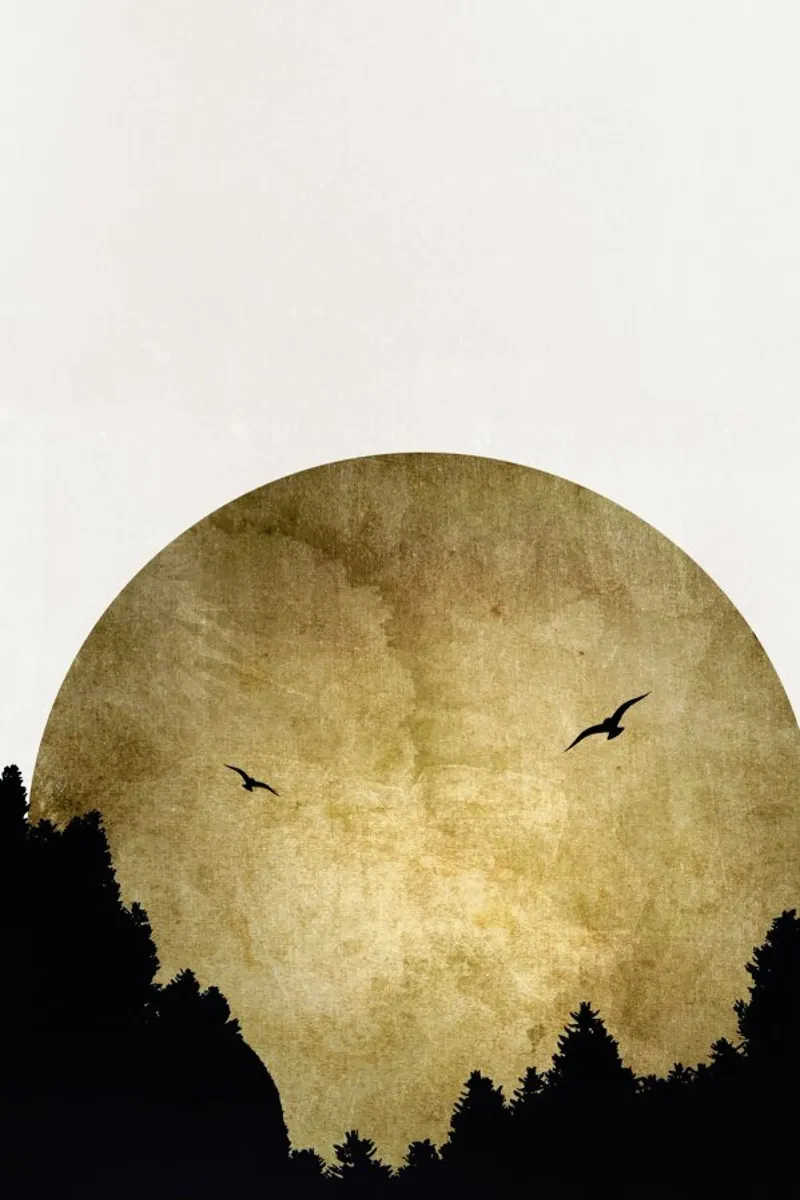 Two Birds Gold pellicola backlit da Kubistika