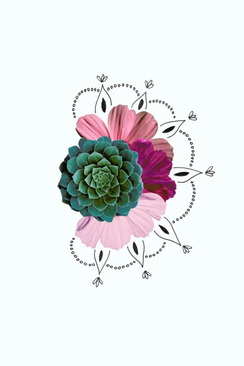 Succulent Collage poster con telaio in alluminio da Miles of Light