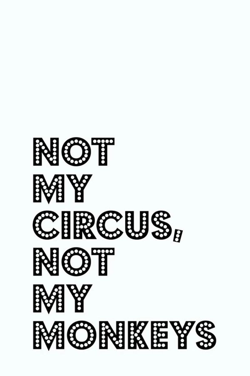 Not My Circus, Not My Monkeys alluminio dibond da The Native State