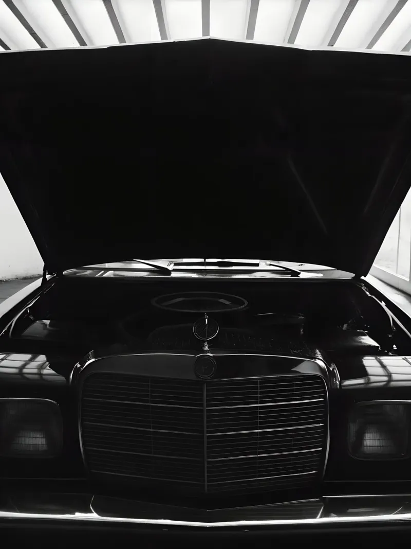 Auto d'epoca monocromatica plexiglass da CAR EDITION