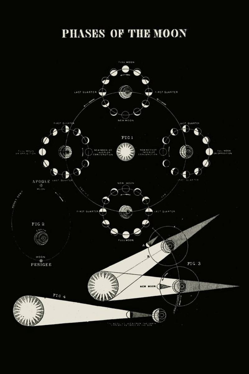 Phases Of The Moon Poster von Astër