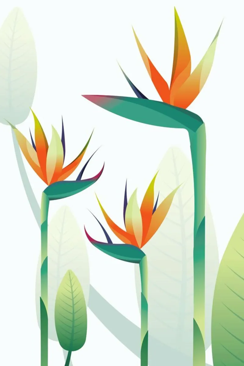 Strelitzia pellicola backlit da Sabrina Ziegenhorn