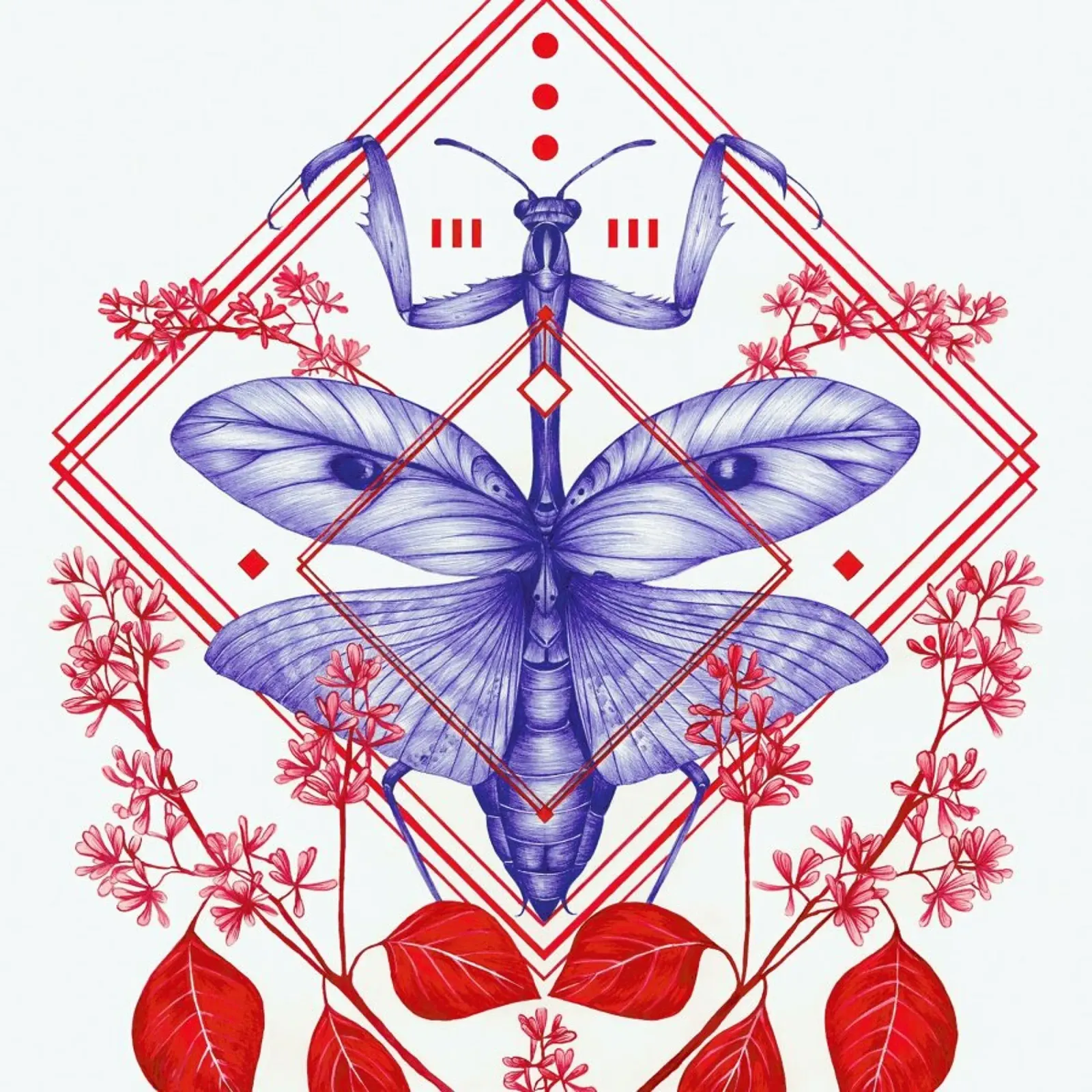 Evolution 3 carta hahnemühle da The White Deer