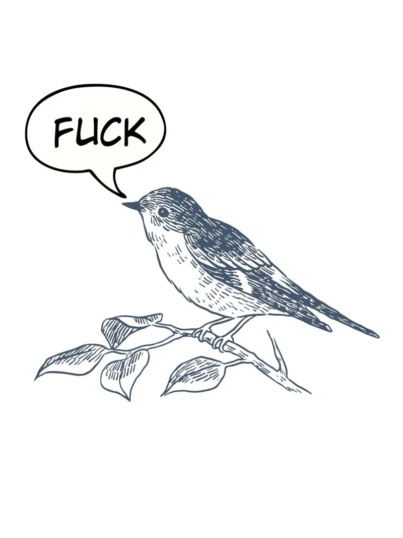 bird humor alluminio dibond da ramosashop