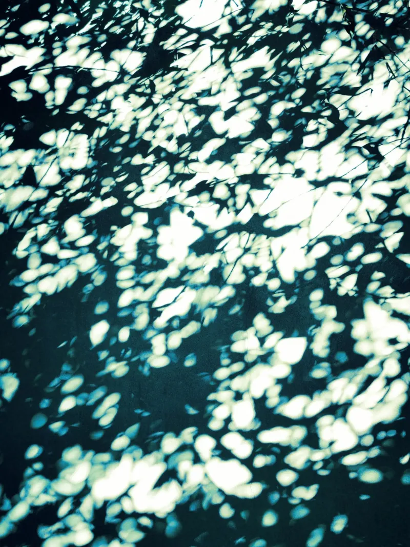 Wall Shadows Shibori (1) poster con telaio in legno da Angelo Cerantola