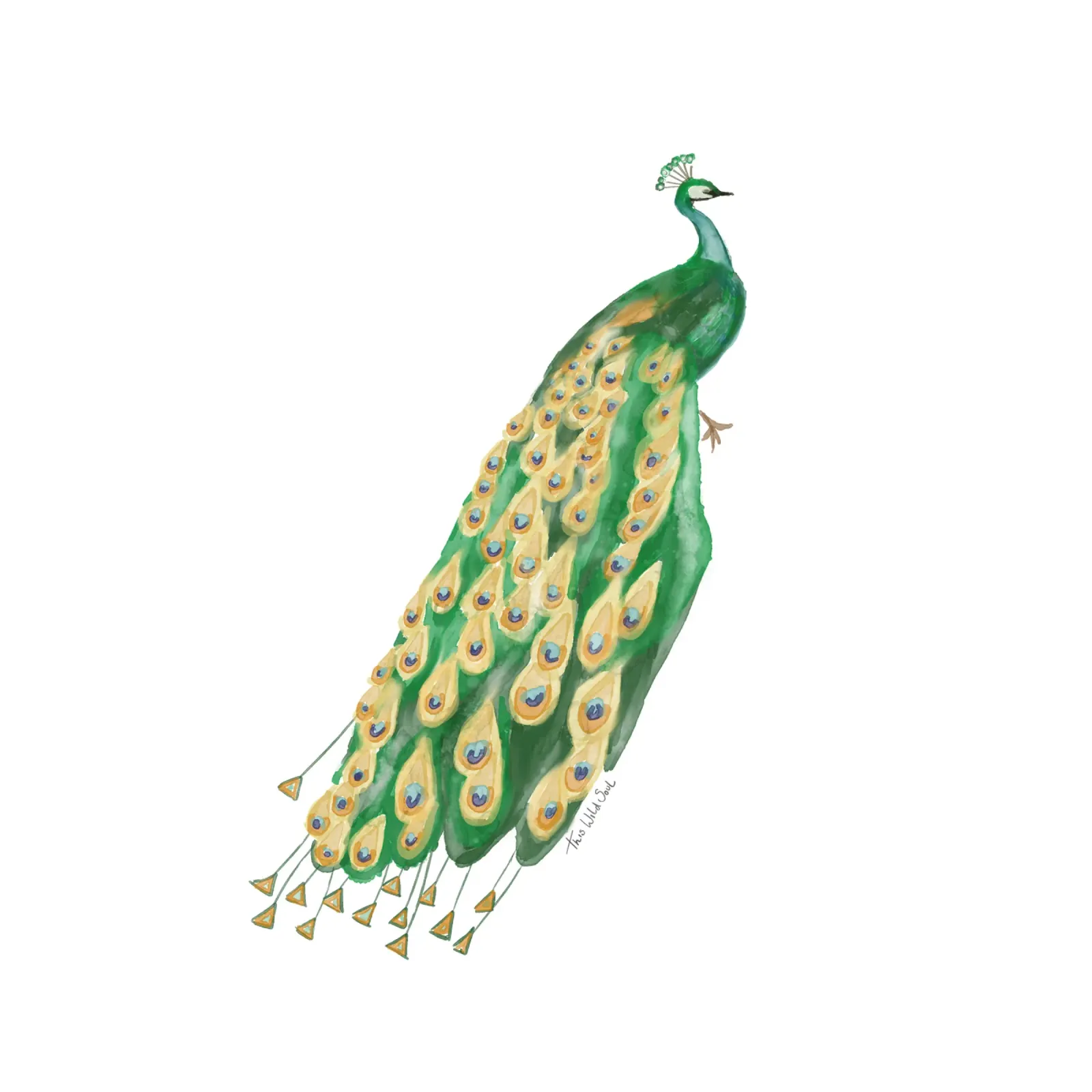 Pavone Illustrazione ad acquerello Arte minimalista Boho pellicola backlit da This Wild Soul - Illustration