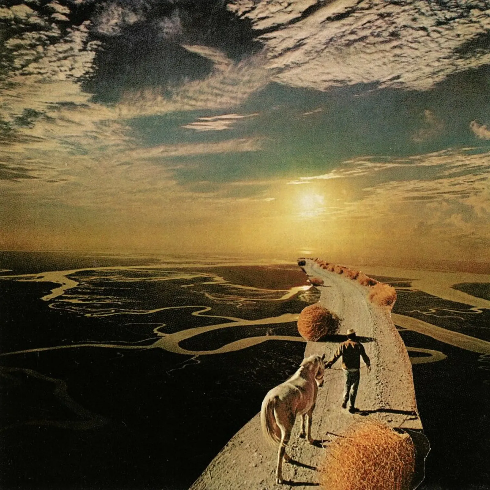Unicorns Are Real alluminio dibond da Jesse Treece