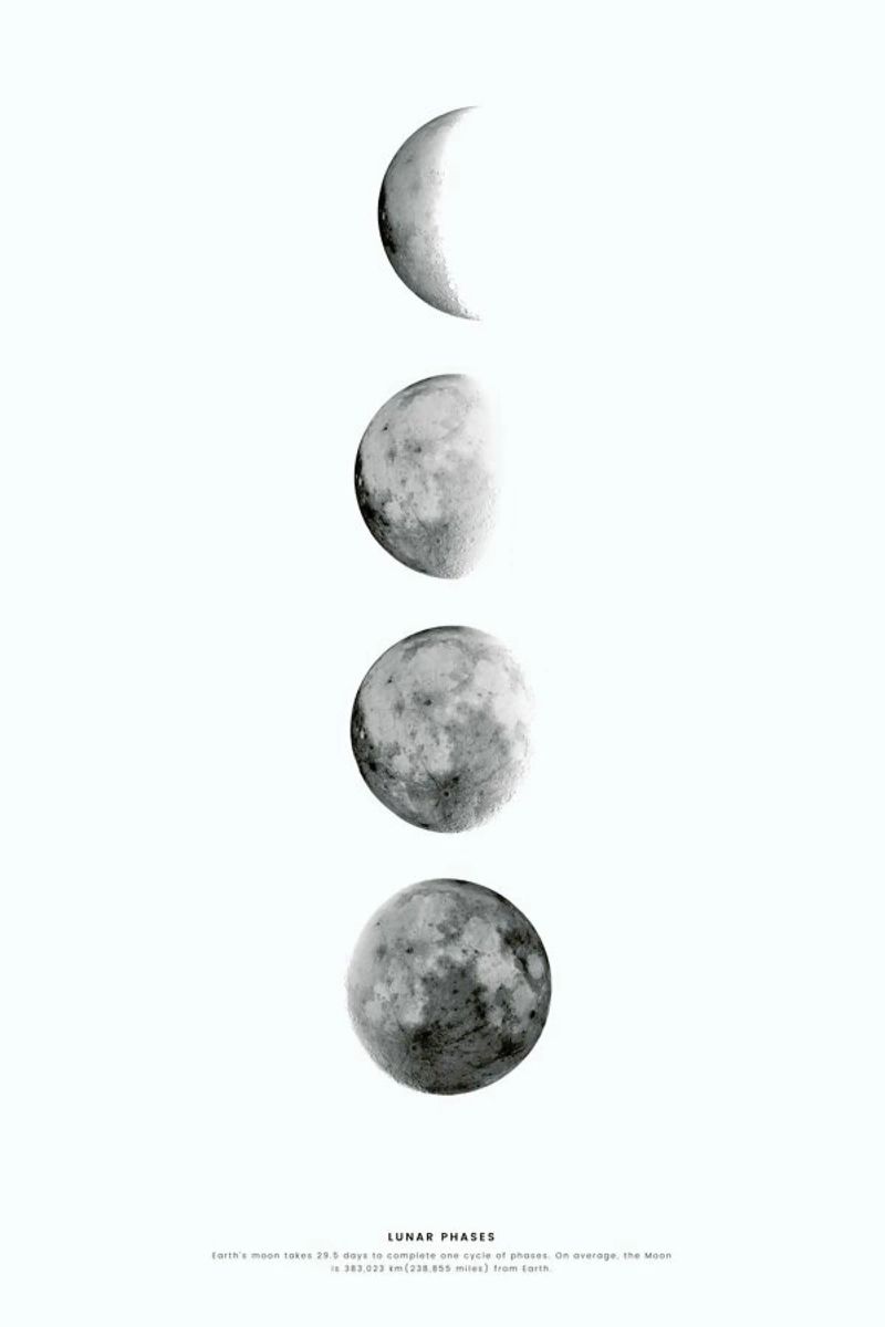 Phases of the Moon pellicola backlit da daylight design studio
