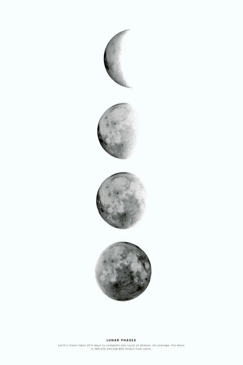 Phases of the Moon carta hahnemühle da daylight design studio