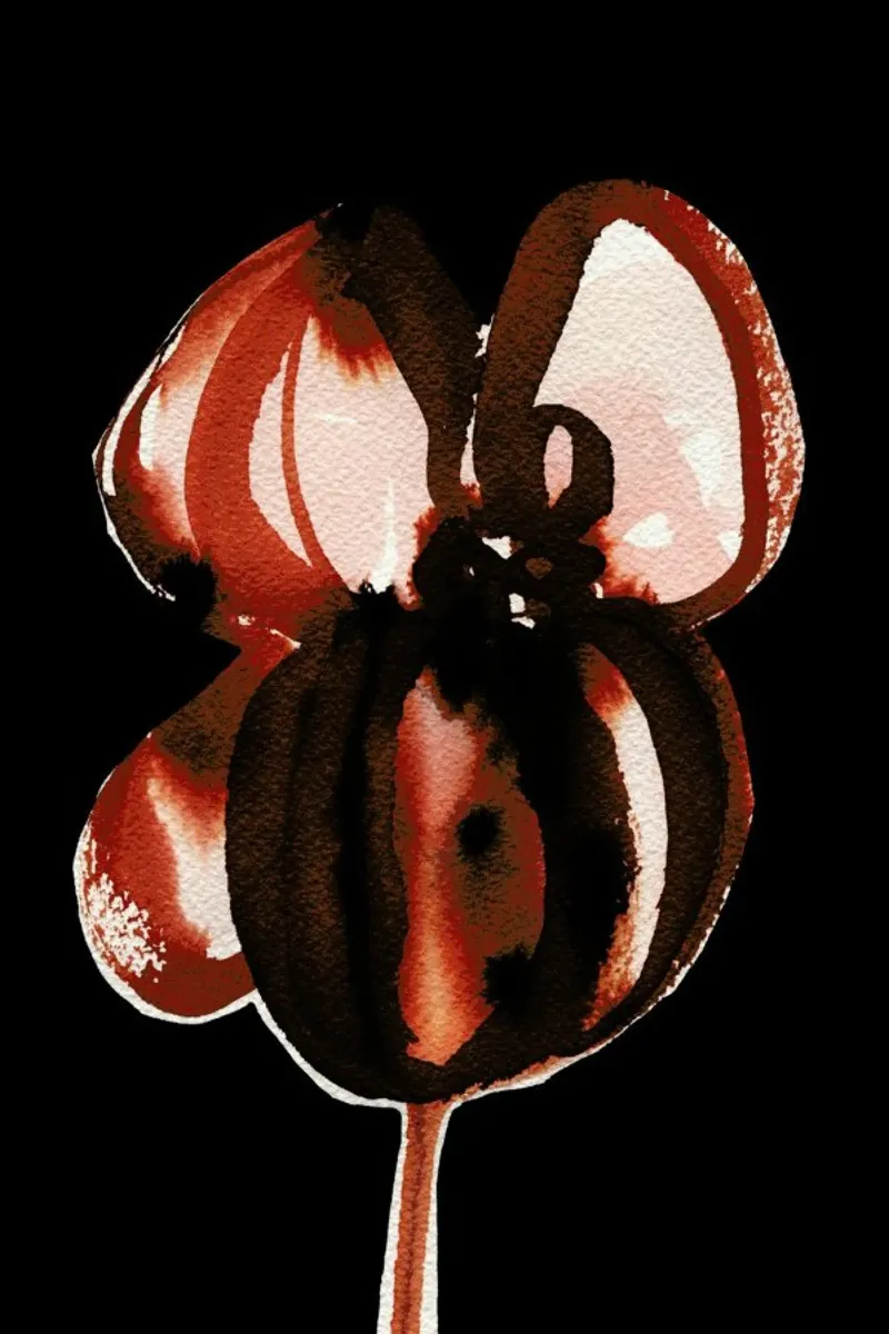 Tulip pellicola backlit da Ekaterina Koroleva