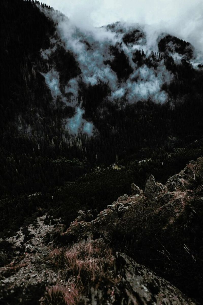 Trees and Clouds poster da Sebastian Hilgetag