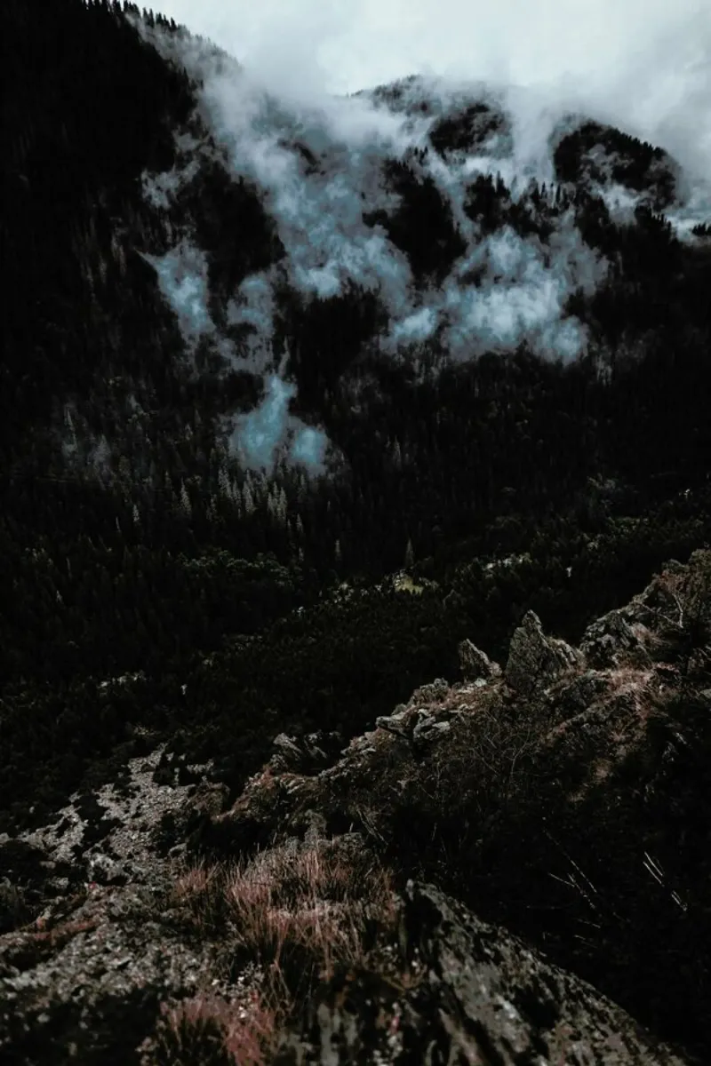 Trees and Clouds Acryl-Glas von Sebastian Hilgetag