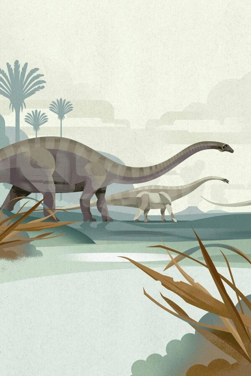 Diplodocus poster de Dieter Braun