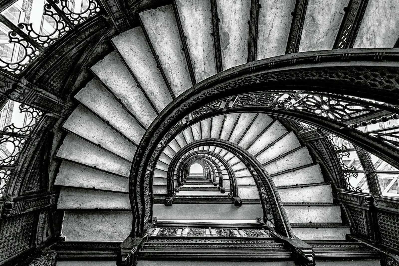 The Rookery - Yimei Sun hahnemühle de Pictufy
