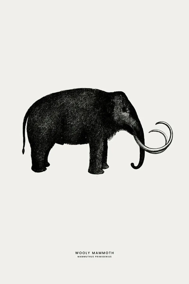 Mammoth pellicola backlit da Flora & Fauna