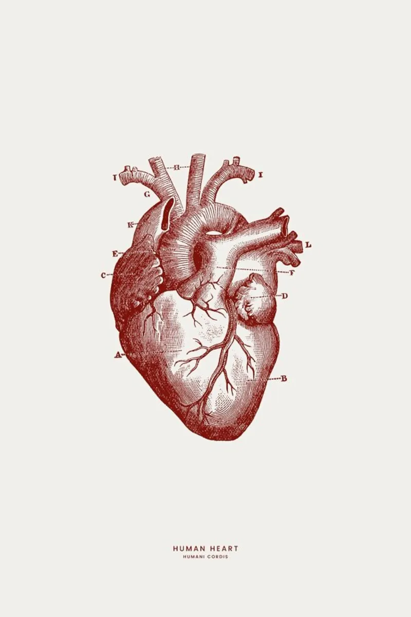 Human Heart II pannello forex da Flora & Fauna