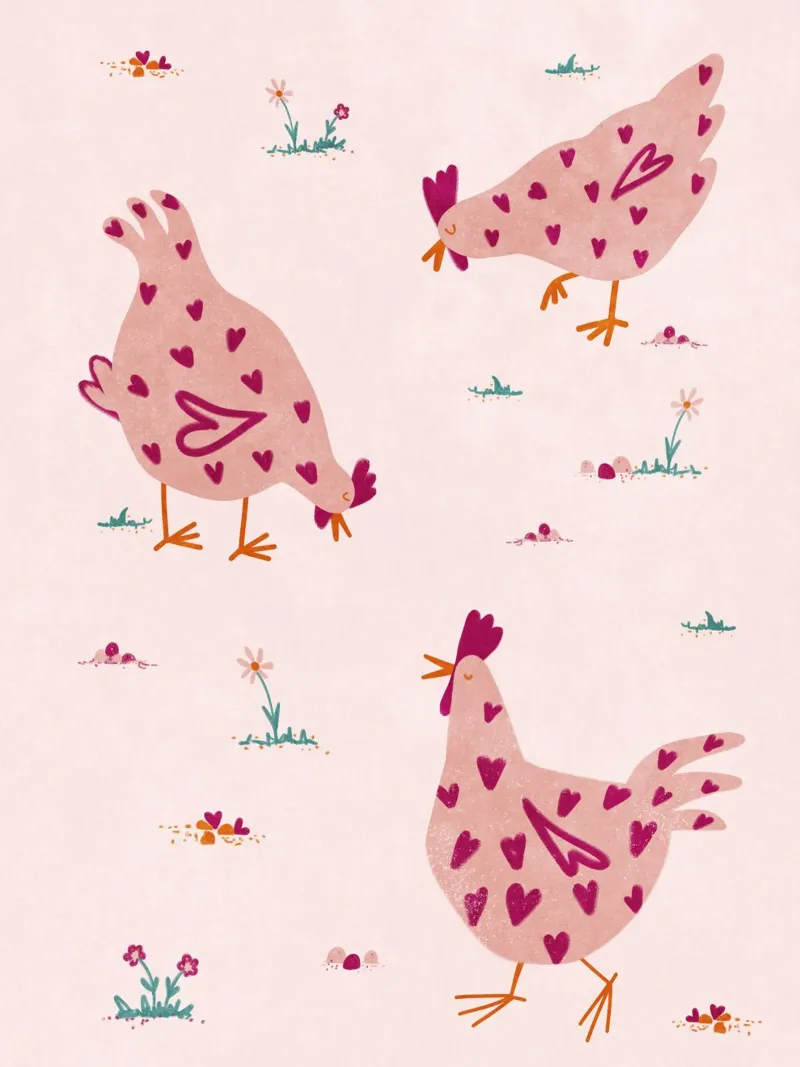 Le galline amano alluminio dibond da Illustration Raissa Oltmanns