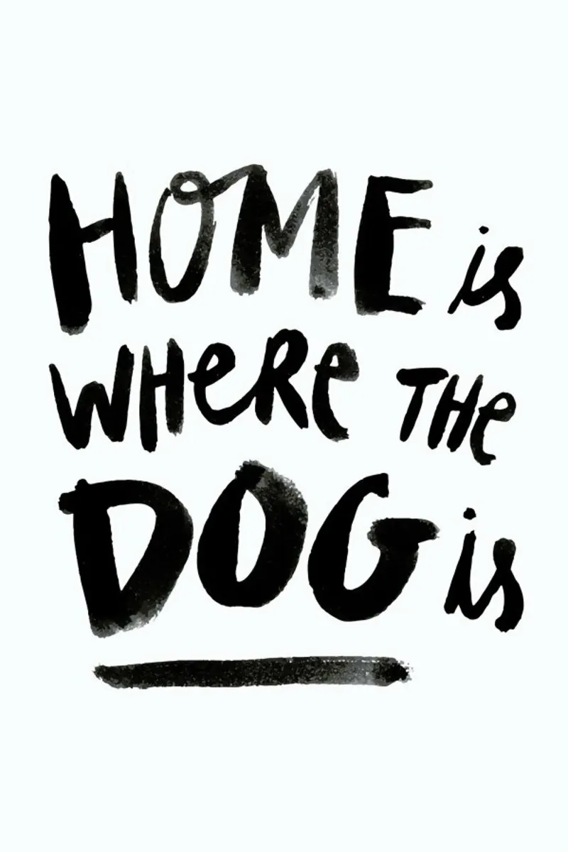 Home Is Where The Dog Is pellicola backlit da Dead Language