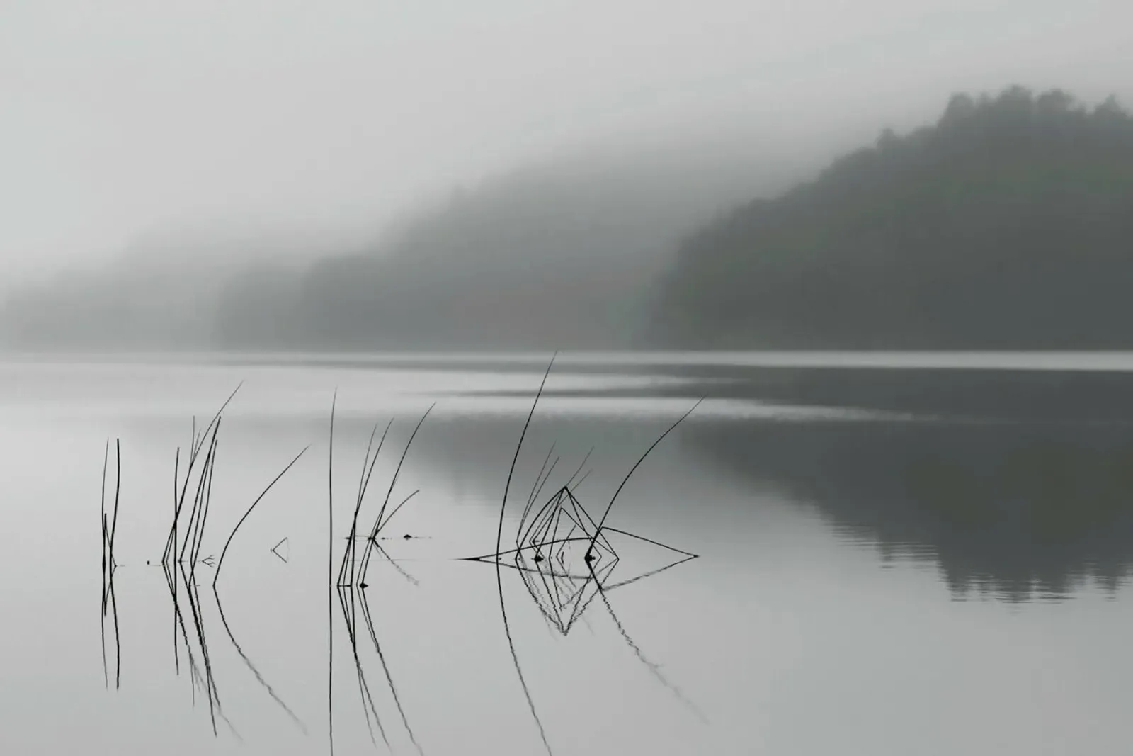 When You Can Hear The Silence - Benny Pettersson carta hahnemühle da Pictufy