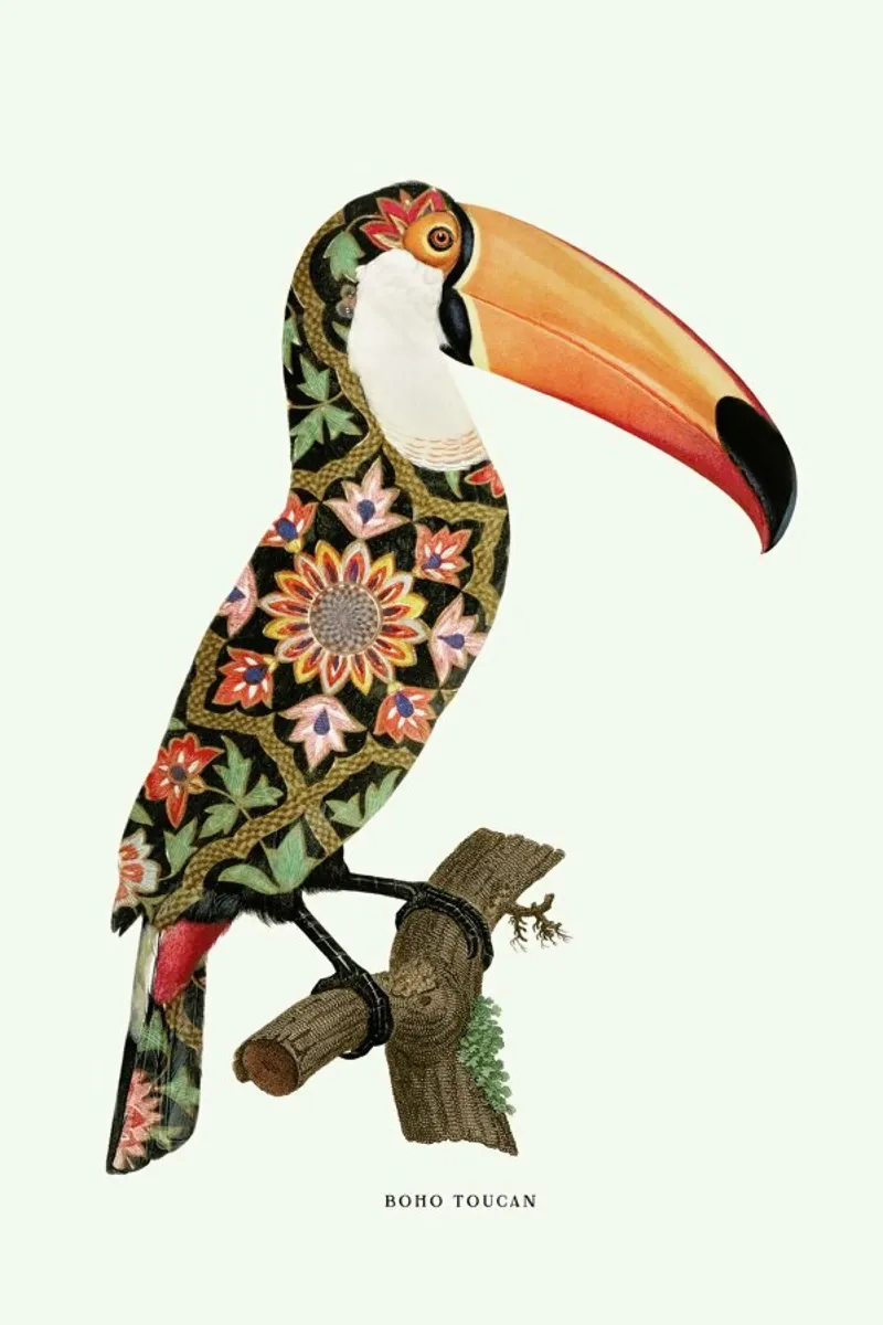 Boho Toucan alluminio dibond da Jonas Loose