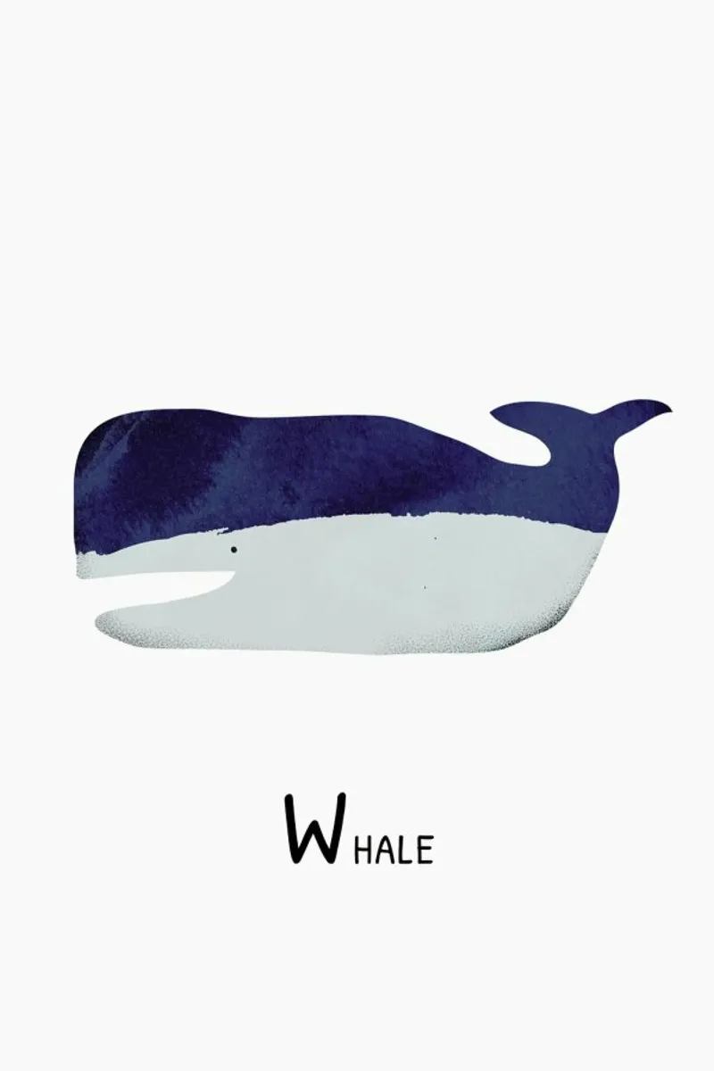 Whale pellicola backlit da Little Flourishes