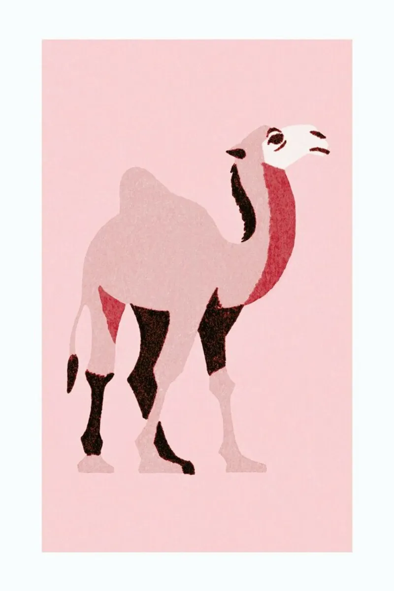 Camel Pink pellicola backlit da Little Flourishes