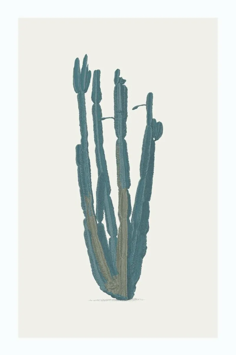 Desert Flower alluminio dibond da Flora & Fauna